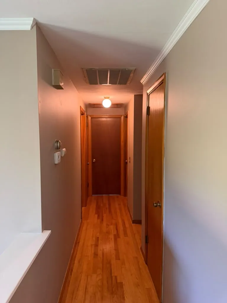 Hallway walls and ceiling, no roller marks